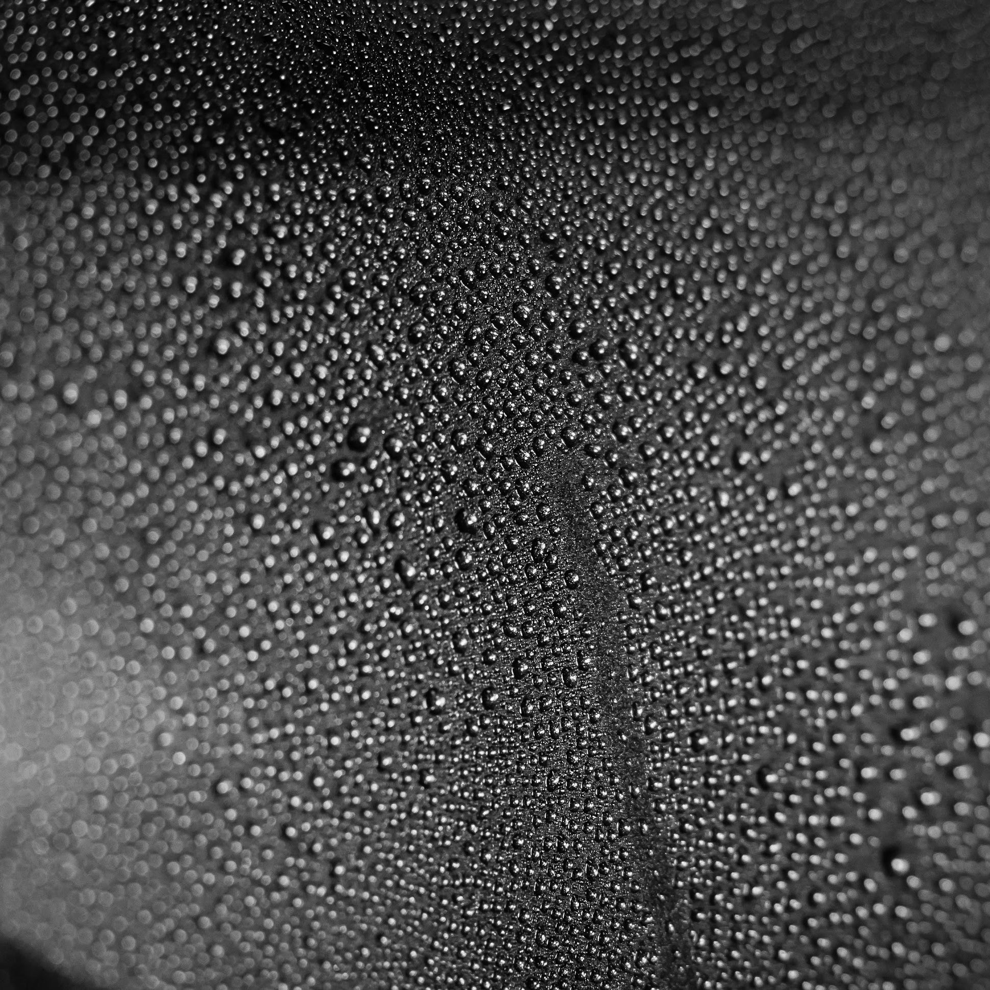 Graphene Paintwork Sealant - Image 5